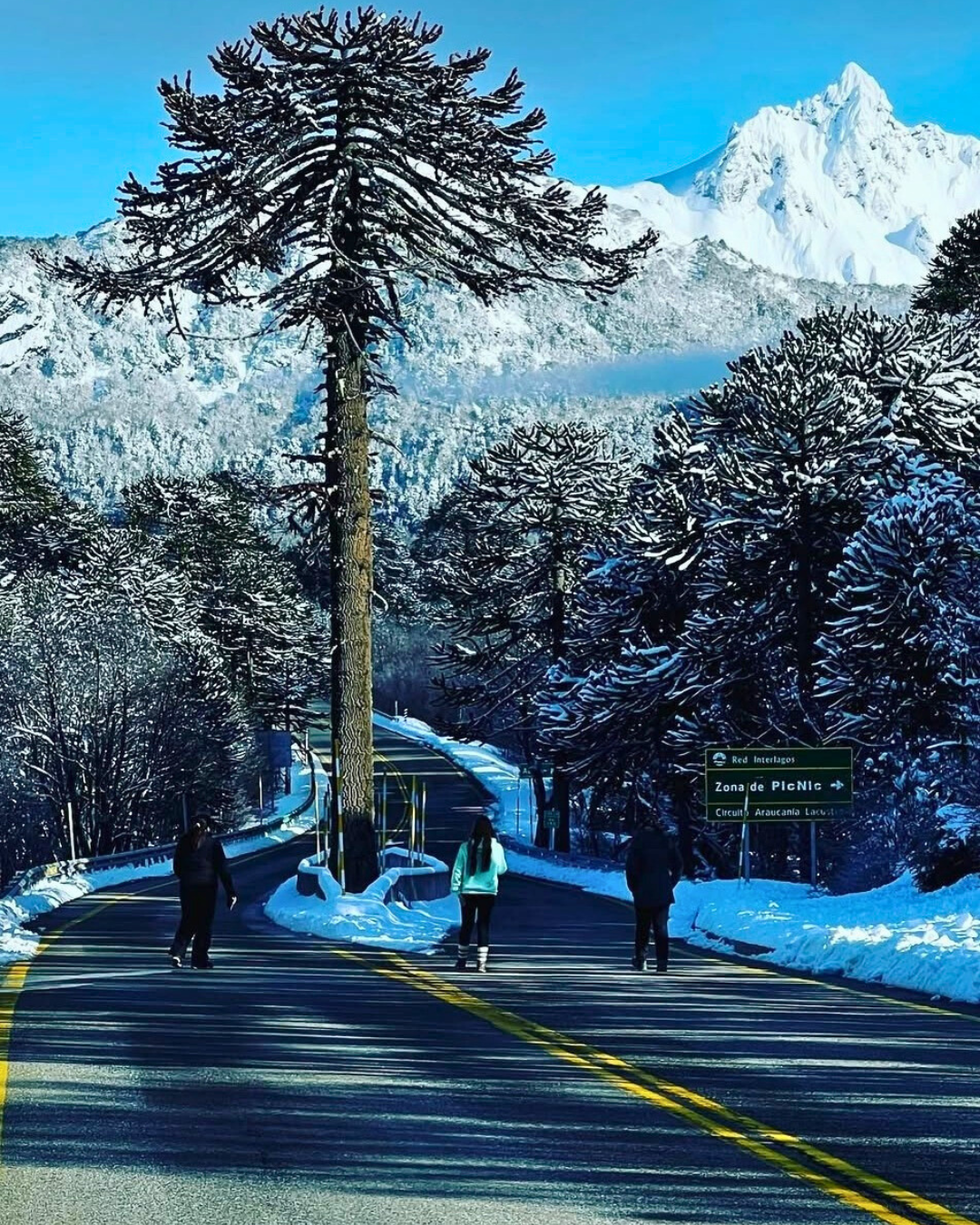 Tour Sendero Lagos Andinos - Imagen 5