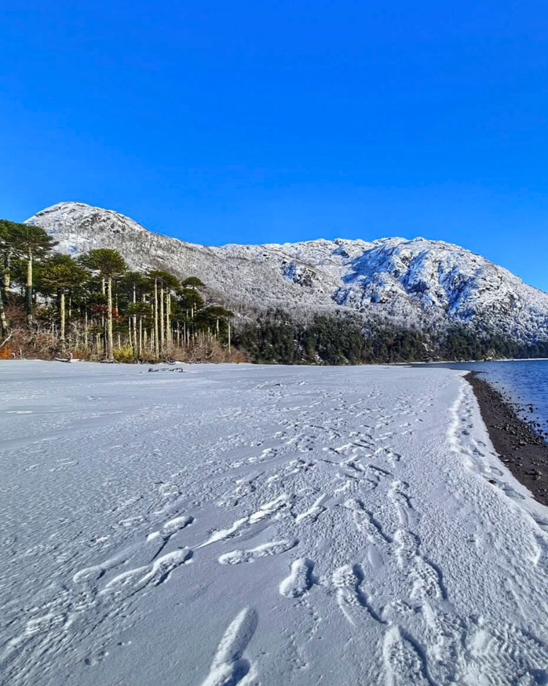 Tour Sendero Lagos Andinos - Imagen 6