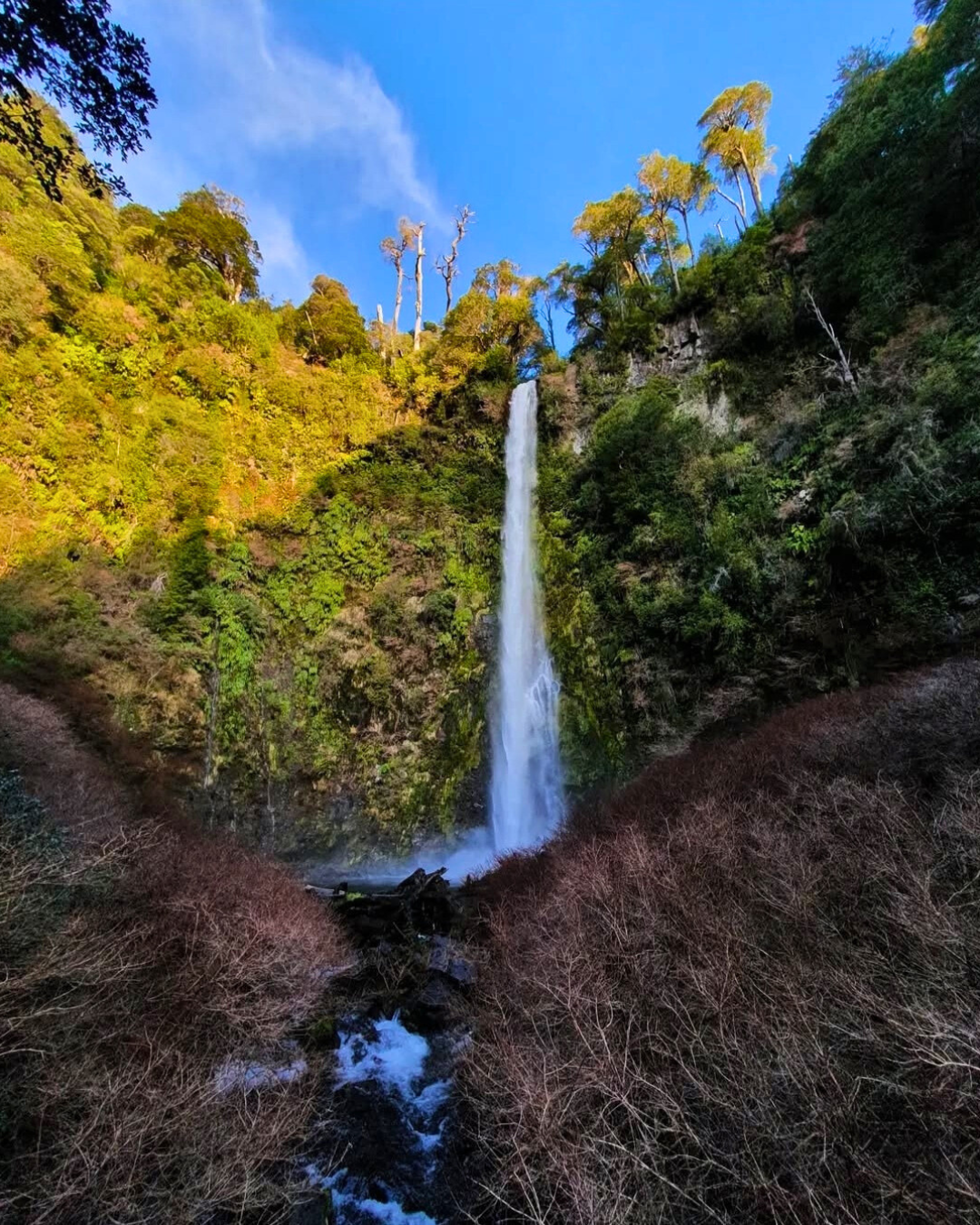 Tour 3 Saltos + Tinaja Vip Salto el león - Imagen 4
