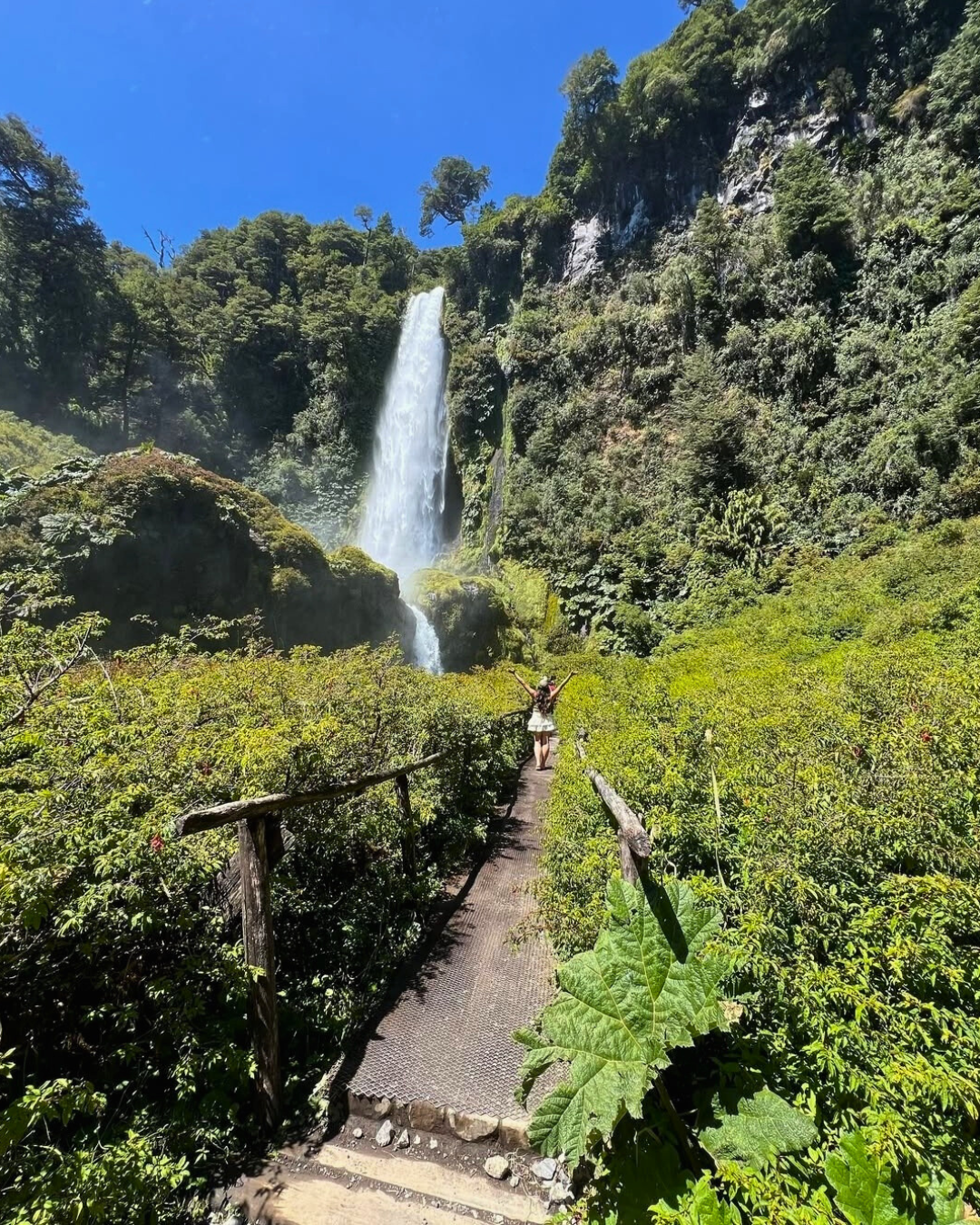 Tour 3 Saltos + Tinaja Vip Salto el león - Imagen 3