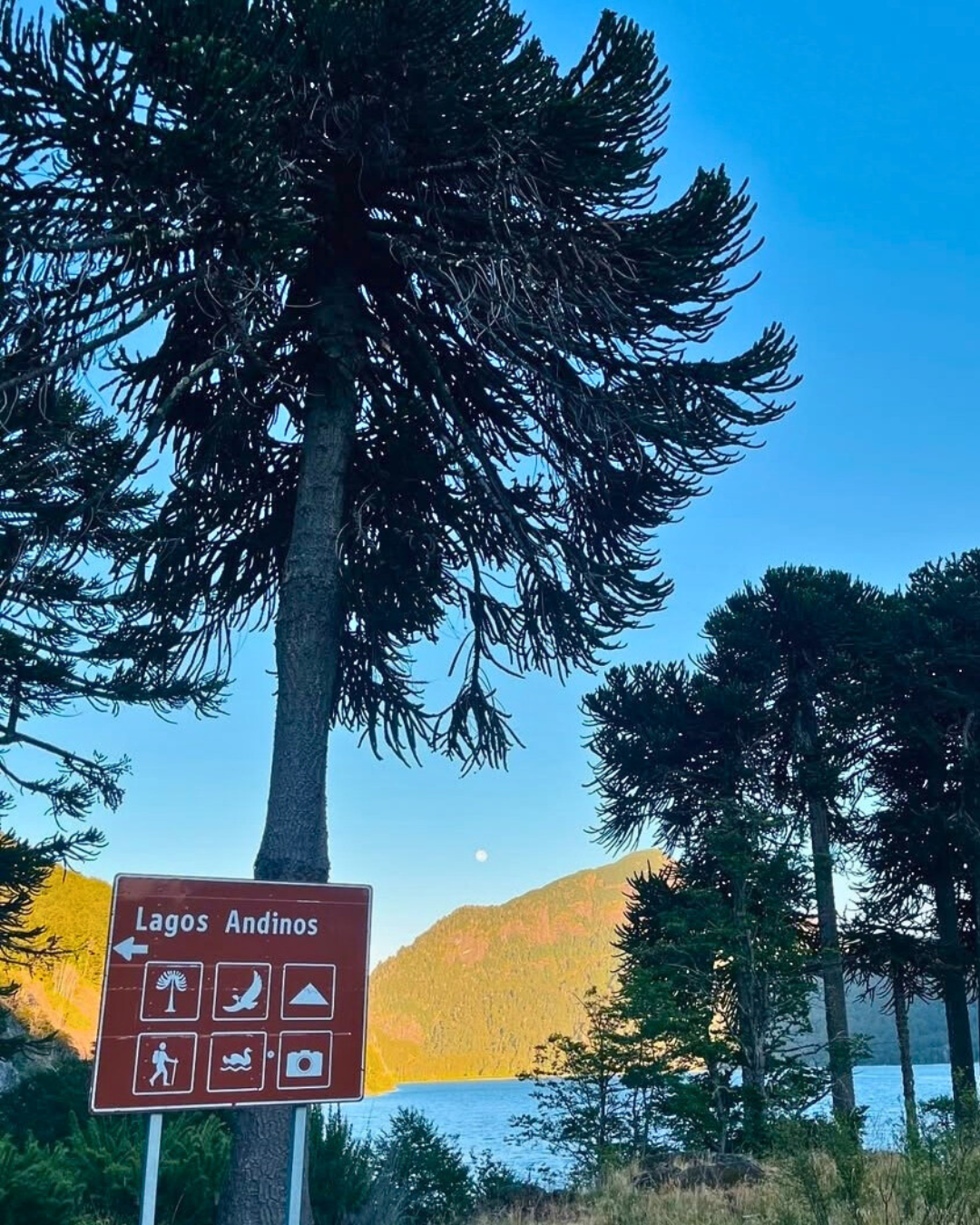 Tour Sendero Lagos Andinos - Imagen 2