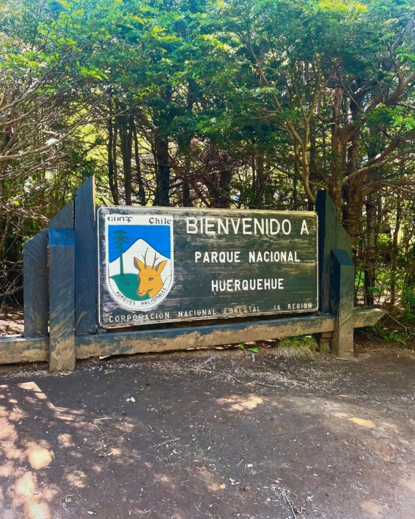 Post Huerquehue 2