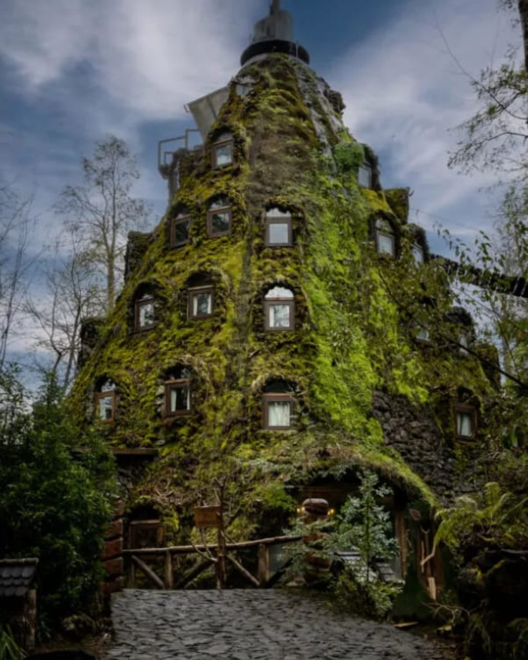 Tour Huilo-Huilo / Puerto Fuy