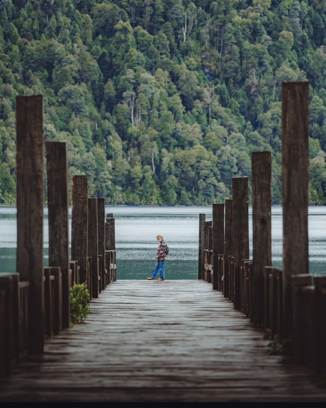 Tour Huilo-Huilo / Puerto Fuy - Imagen 4