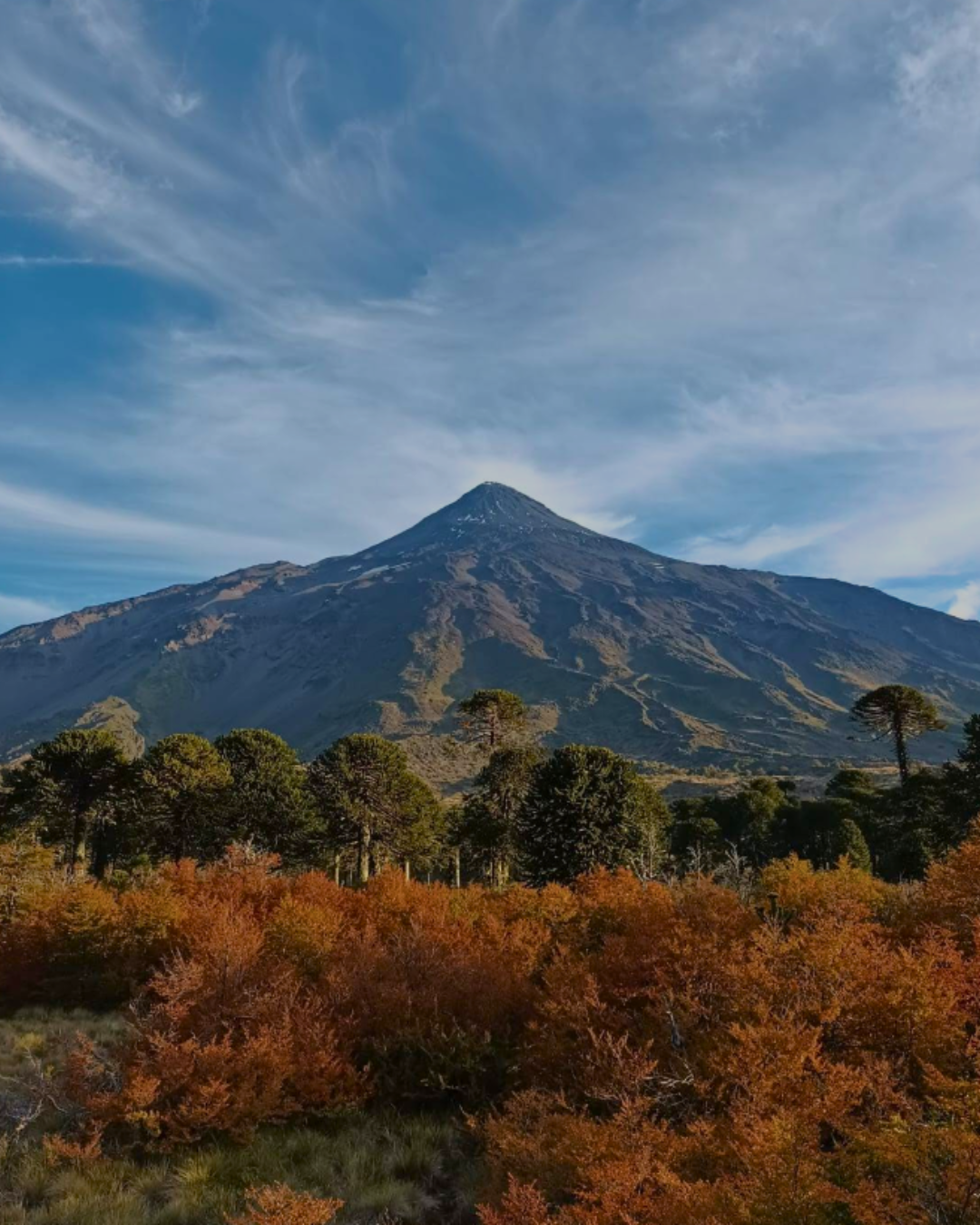 Tour Frontera - Imagen 3