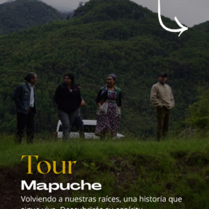 Tour Cultural Mapuche