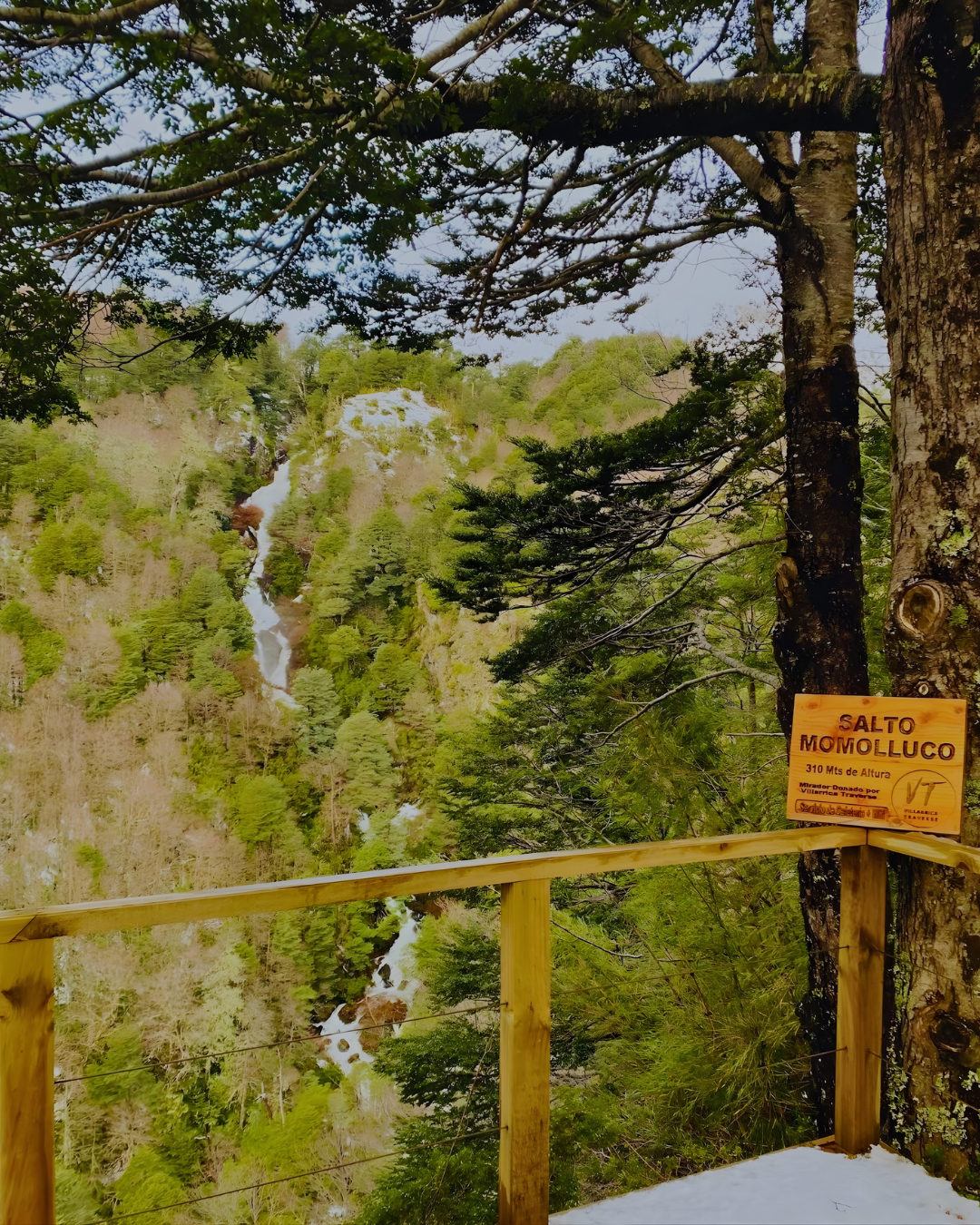 Tour Frontera - Imagen 6