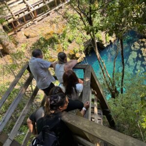 Tour Zona + Termas Pucón Indómito