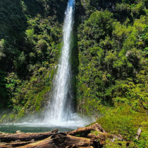 Tour 3 Saltos: El león, La China & Los Mellizos