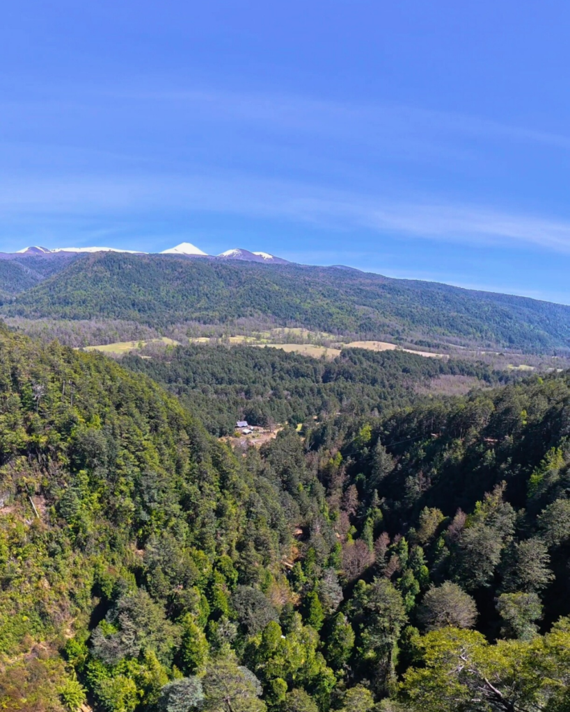 20251211_173649_0000