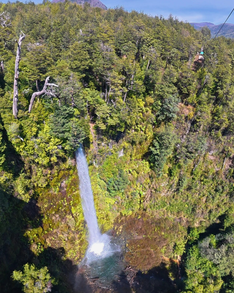 20251211_173649_0001