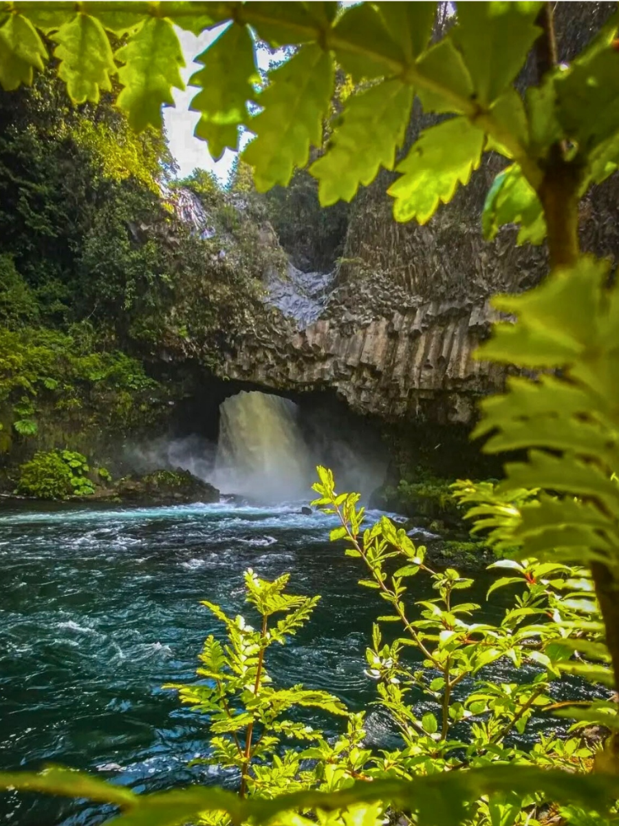 20251019_122849_0005