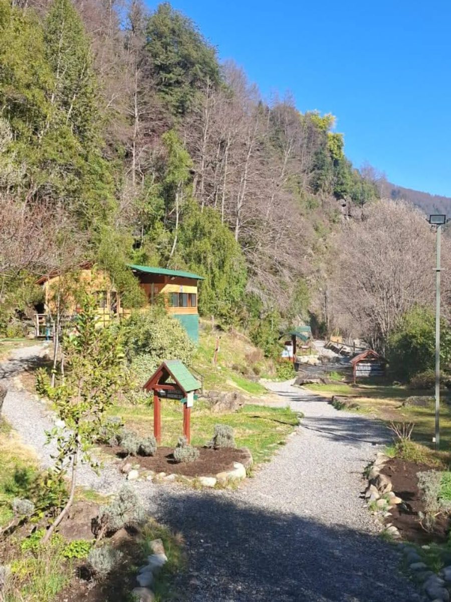 Screenshot_2025-11-14-15-45-38-924_com.instagram.android-edit