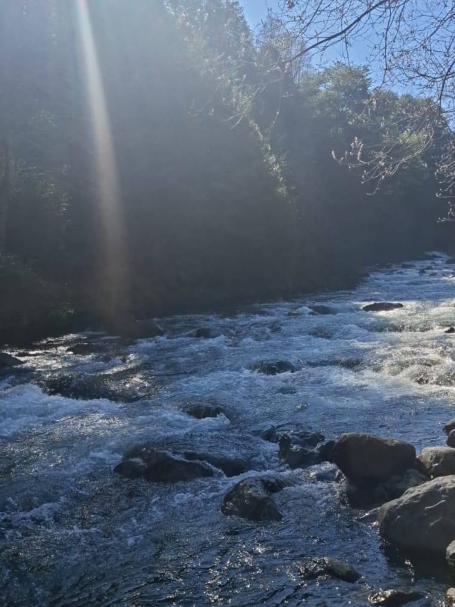 Screenshot_2025-11-14-15-45-55-290_com.instagram.android-edit